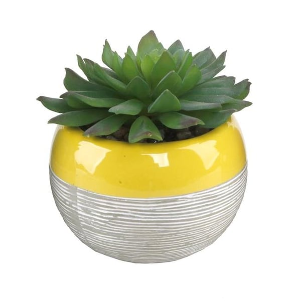 Flora Bunda Flora Bunda CS2346E-YL Succulent in Two Tone Lines Pattern Ceramic Pots; Yellow CS2346E-YL - main